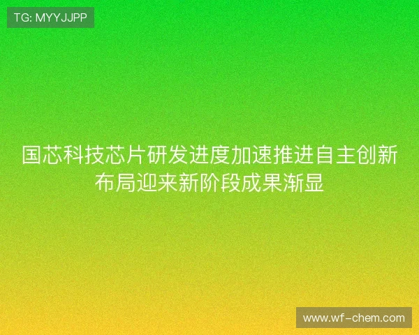 国芯科技芯片研发进度加速推进自主创新布局迎来新阶段成果渐显